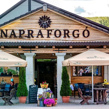 Napraforgo Vendeghaz Demjén